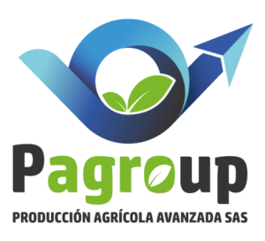 logo-pagroup